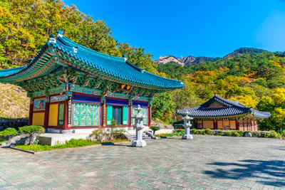 Südkoreas Großstädte und Nationalparks in der Kleingruppe erleben