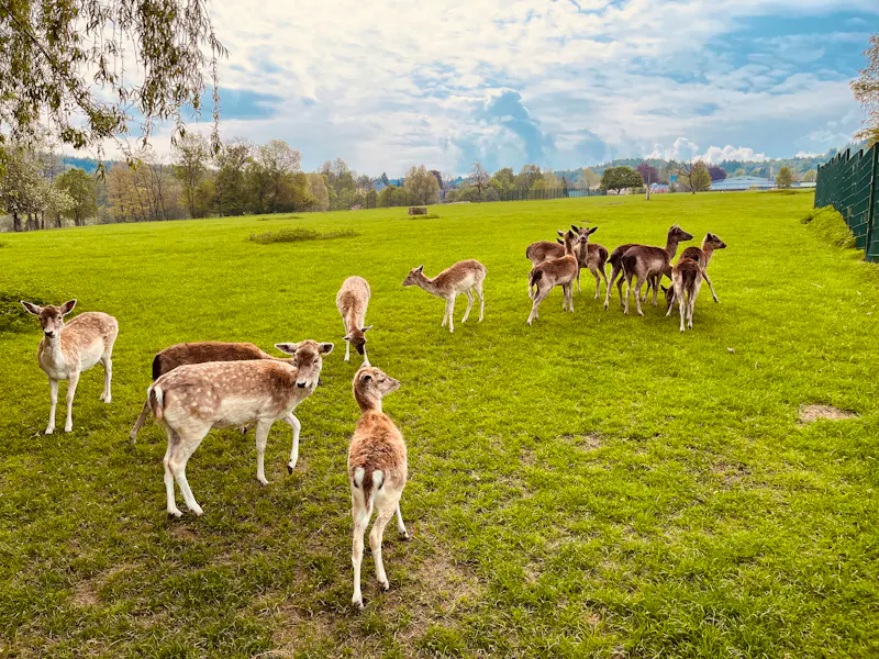 Landesgartenschau 2027 / Aue-Bad Schlema - &copy;Landesgartenschau Aue-Bad Schlema gGmbH