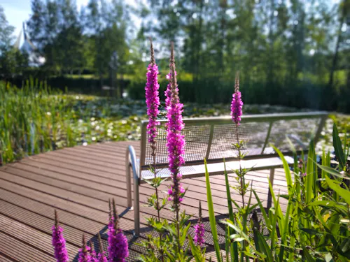 Landesgartenschau 2027 / Aue-Bad Schlema &ndash; &copy; Landesgartenschau Aue-Bad Schlema gGmbH