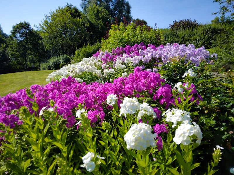 Landesgartenschau 2027 / Aue-Bad Schlema - &copy;Landesgartenschau Aue-Bad Schlema gGmbH