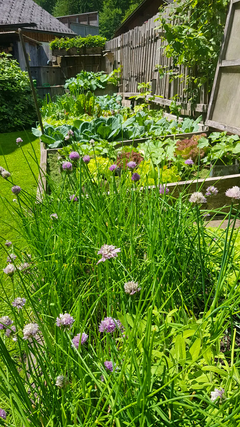 Hallstatt - im Garten von Uli und Vinzenz  - &copy;Anke Nicke - Eberhardt TRAVEL