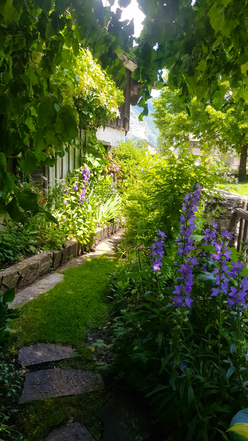 Hallstatt - im Garten von Uli und Vinzenz  - &copy;Anke Nicke - Eberhardt TRAVEL