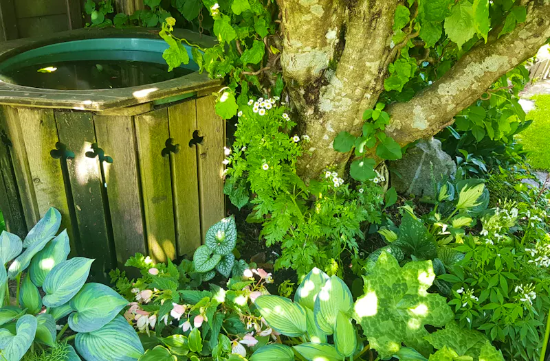 Hallstatt - im Garten von Uli und Vinzenz - &copy;Anke Nicke - Eberhardt TRAVEL