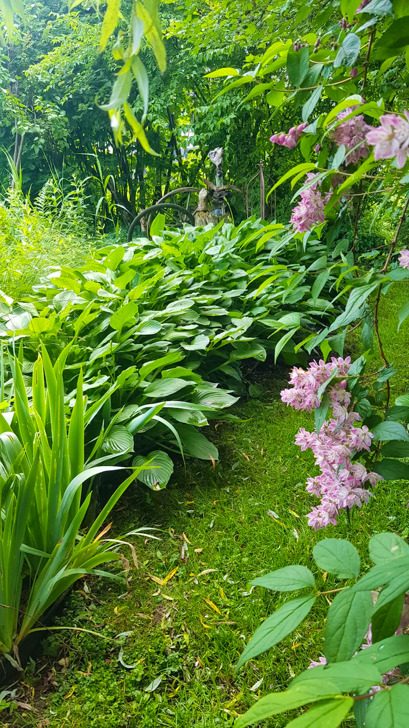 Bad Goisern - im Garten von Rainer und Doris - Schattengarten - &copy;Anke Nicke - Eberhardt TRAVEL