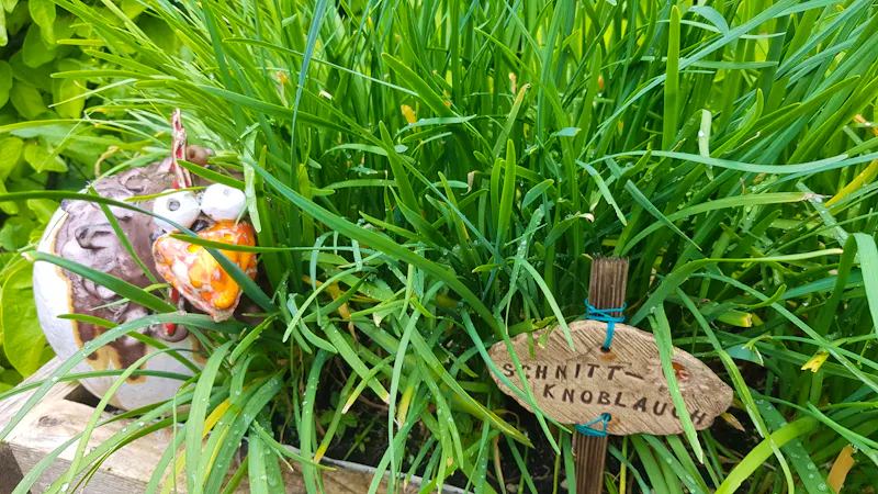 Bad Goisern - im Garten von Rainer und Doris - liebevolle Details  - &copy;Anke Nicke - Eberhardt TRAVEL