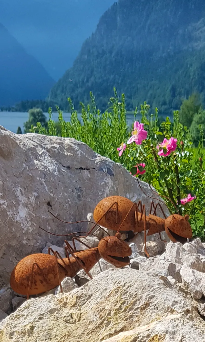 Bad Goisern - im Garten von Rainer und Doris - Ameisen, über die man sich freut - &copy;Anke Nicke - Eberhardt TRAVEL