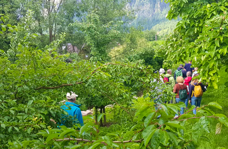 Bad Goisern - im Garten von Rainer und Doris - eine Fülle an Obstsorten - &copy;Anke Nicke - Eberhardt TRAVEL