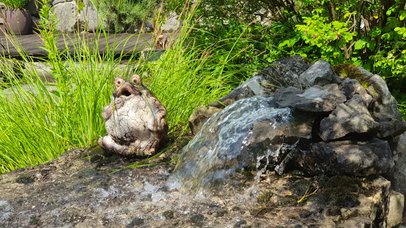  Bad Goisern - im Garten von Rainer und Doris - ein Frosch bewacht den Wasserfall - &copy;Anke Nicke - Eberhardt TRAVEL