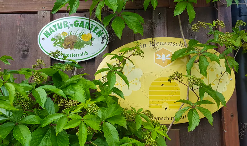 Der Privatgarten von Rainer und Doris Feichtinger in Bad Goisern  - naturnah und bienenfreundlich - &copy;Anke Nicke - Eberhardt TRAVEL