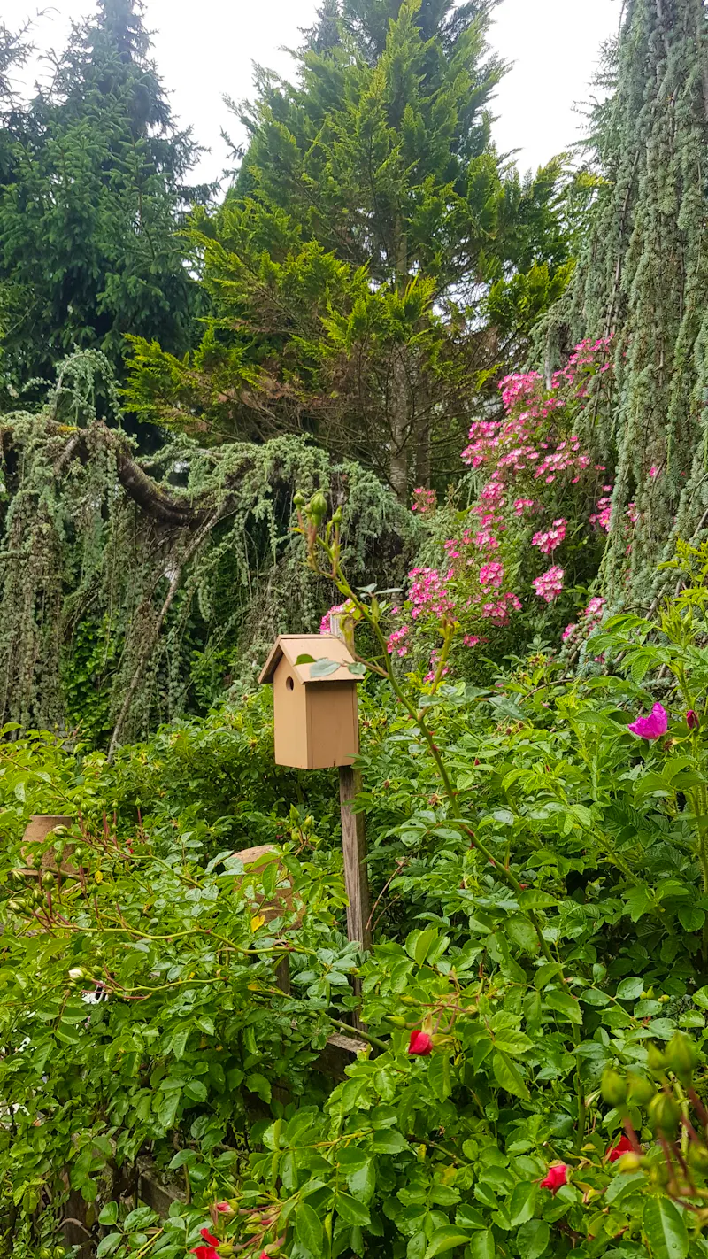 Strobl - im Garten von Elisabeth  - &copy;Anke Nicke - Eberhardt TRAVEL