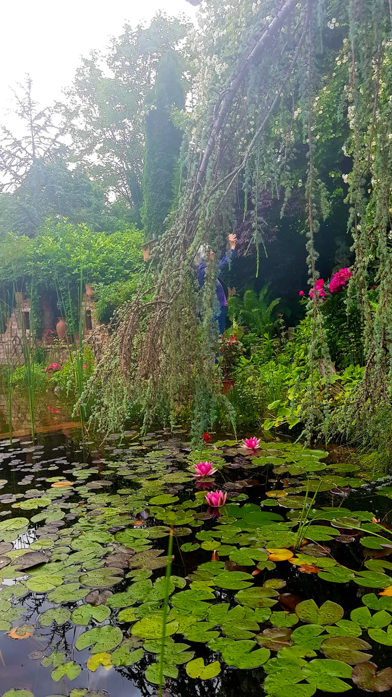 Strobl - im Garten von Elisabeth  - &copy;Anke Nicke - Eberhardt TRAVEL