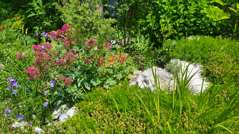 Alpengarten Bad Aussee  - &copy;Anke Nicke - Eberhardt TRAVEL