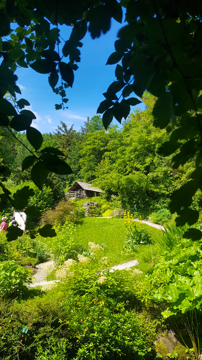 Alpengarten Bad Aussee  - &copy;Anke Nicke - Eberhardt TRAVEL