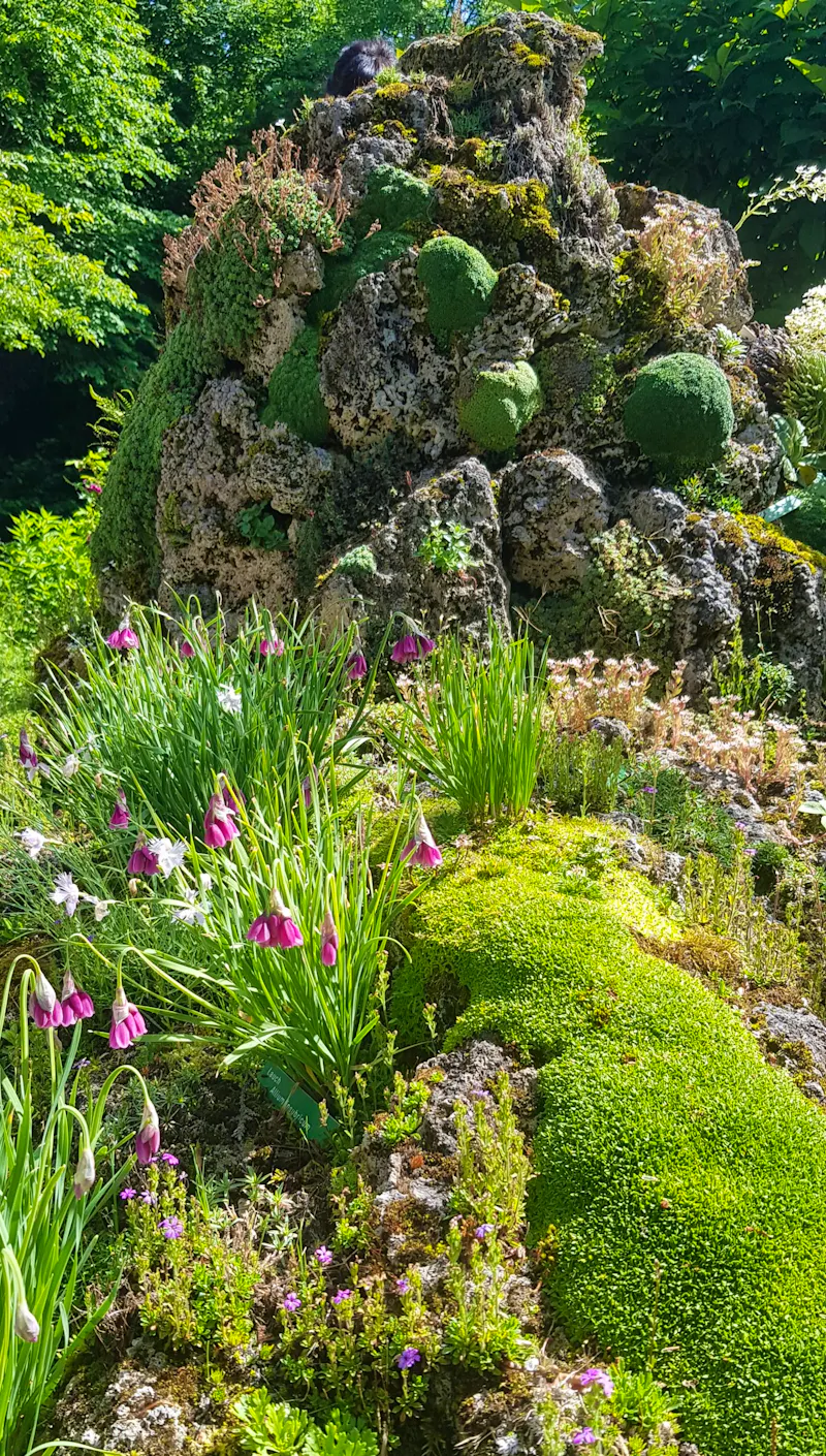 Alpengarten Bad Aussee  - &copy;Anke Nicke - Eberhardt TRAVEL