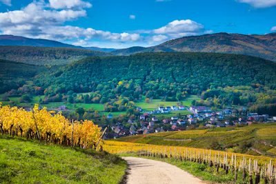Radreise Elsass, Burgund und Provence &ndash; entlang der Rhone und Saone