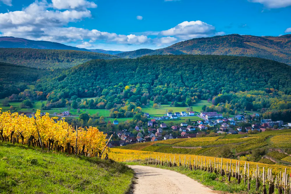 Blick auf den Grand Ballon von den Weinberge oberhalb von Soultzmatt im Elsass &ndash; &copy; Tanja Voigt  - stock.adobe.com