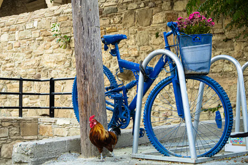 kunstvolles Fahrrad in Tochni - &copy;world_by_savvas - stock.adobe.com