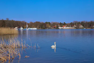 Weihnachtstage in Bad Saarow am Scharmützelsee &ndash; Brandenburg