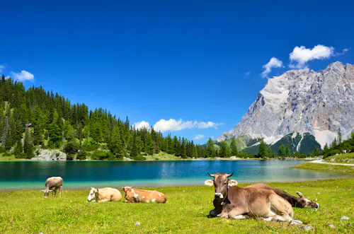 Almidylle am Sebensee &ndash; &copy; fujipe - stock.adobe.com