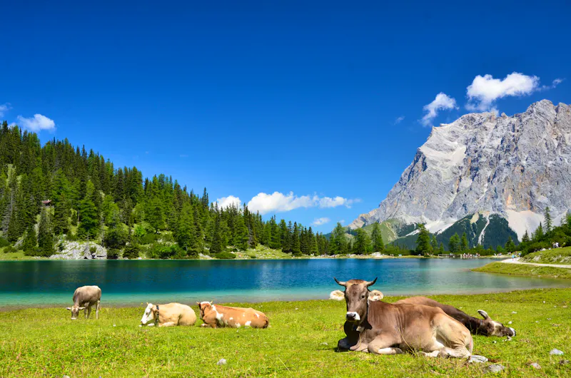 Almidylle am Sebensee - &copy;fujipe - stock.adobe.com