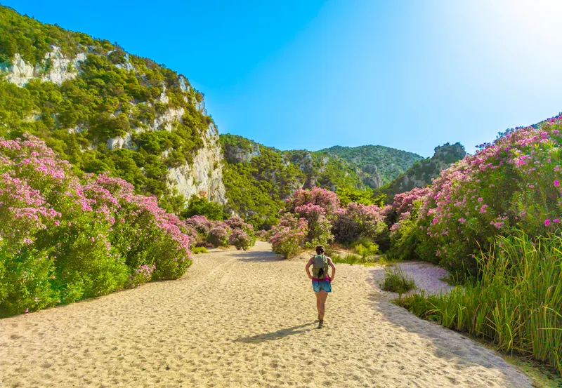 Wandern durch blühende Macchia auf Sardinien - &copy;ValerioMei - stock.adobe.com