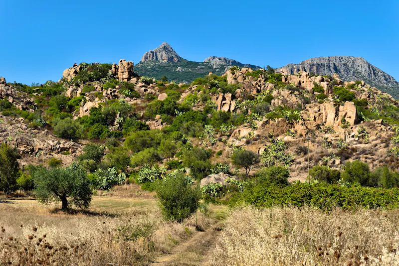 Sardinien - Ogliastra - &copy;Nur zur Ansicht, keine Vervielfältigung ohne vorherige Genehmigung