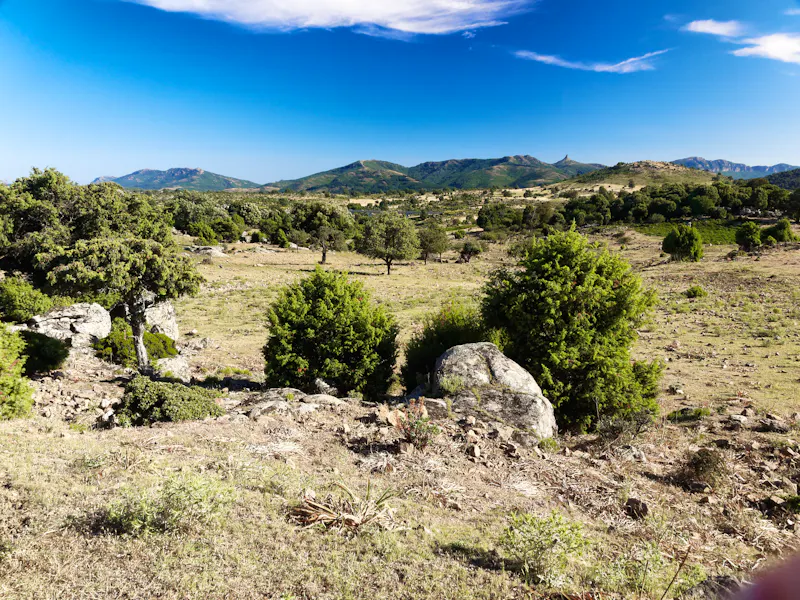 Naturpark Gennargentu auf Sardinien - &copy;marchesini62 - stock.adobe.com