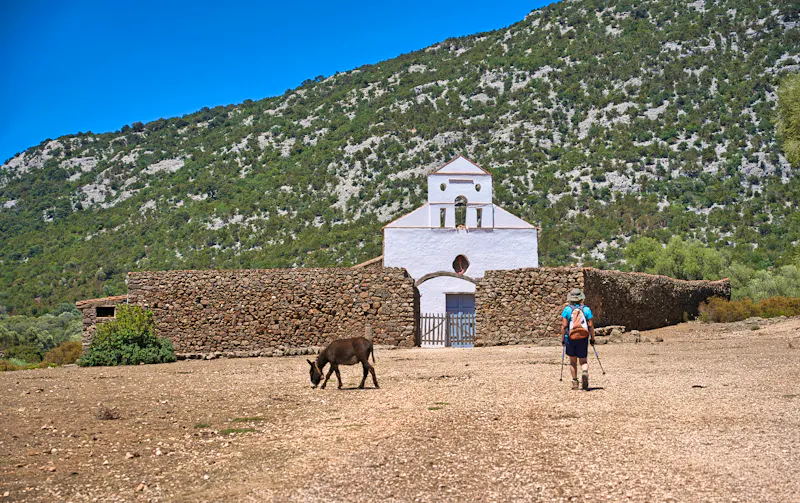 Wanderung auf dem Golgo-Plateau - Bergkirche San Pietro  - &copy;Gesa Foto - stock.adobe.com