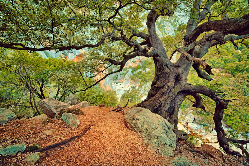 Wandern im Supramonte Gebirge auf Sardinien - &copy;lukaszmalkiewicz.pl - stock.adobe.com