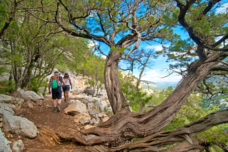 Wandern im Supramonte Gebirge auf Sardinien - &copy;fabiano goremecaddeo - stock.adobe.com