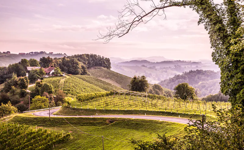 Südsteirische Weinstraße - &copy;Schönbacher Gerhard - stock.adobe.com