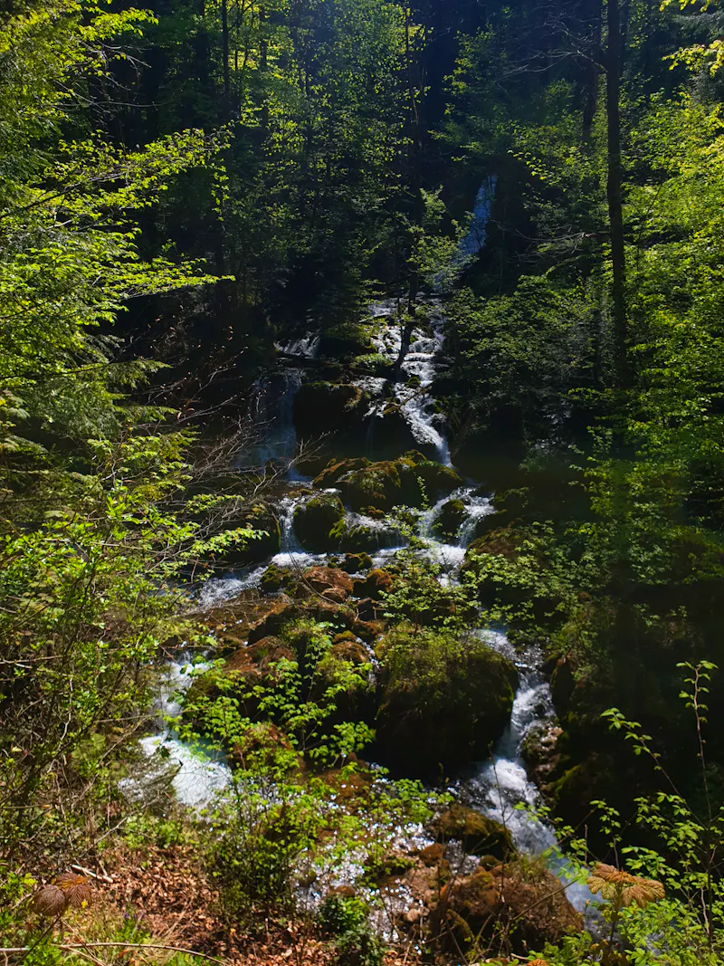 Bärenschützklamm in Steiermark, Österreich - &copy;air4004 - stock.adobe.com
