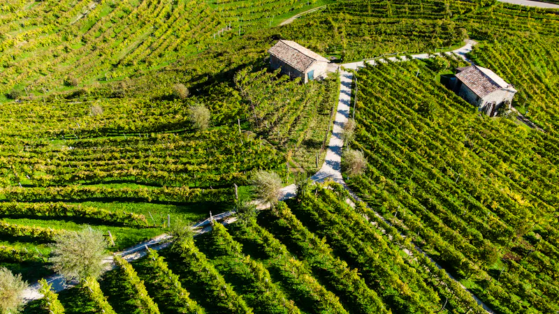 Weinregion bei Valdobbiadene - &copy;eyeworld - stock.adobe.com