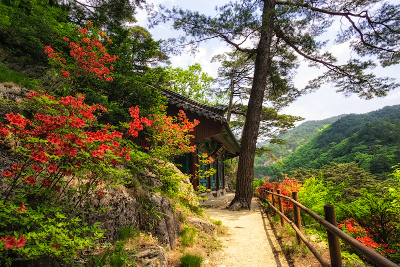 Odaesan-Nationalpark - Sogeumgang Tal - &copy;aaron90311 - stock.adobe.com