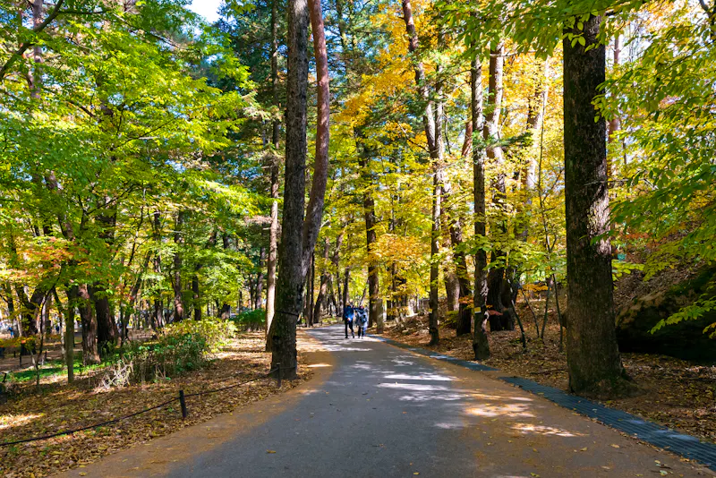 Wanderung im Songnisan Nationalpark - &copy;Beautiful Korea - stock.adobe.com