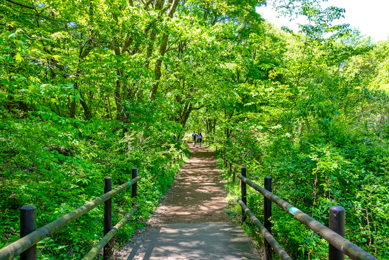 Wanderung im Songnisan Nationalpark - &copy;Beautiful Korea - stock.adobe.com