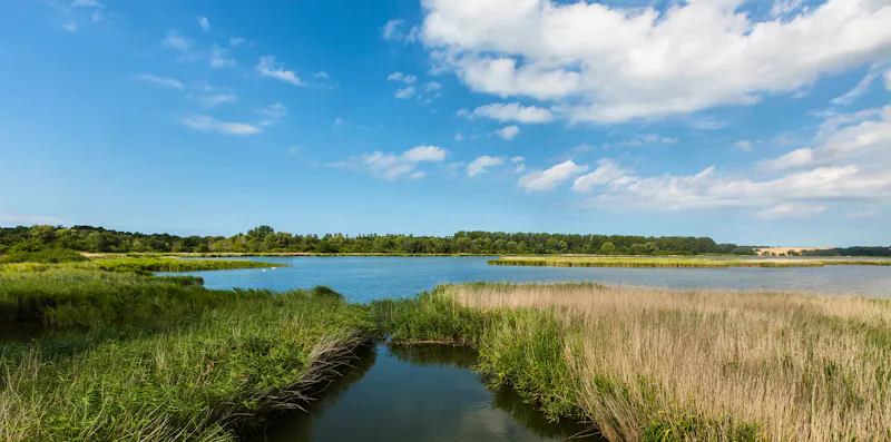 Boddenlandschaft bei Breege auf der Ostsee-Insel Rügen - &copy;Roni - stock.adobe.com