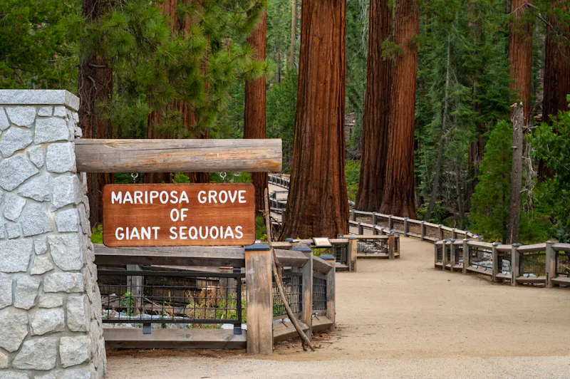 Eingang zur Mariposa Grove of Giant Sequoias im Yosemite National Park - USA - &copy;Wirestock - stock.adobe.com