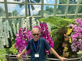 Im Orchideengarten von Singapur