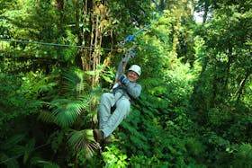 Canopy - Tour Fliegen durch den Nebelwald Monteverde