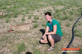 Hautnah mit Geparden in Namibia