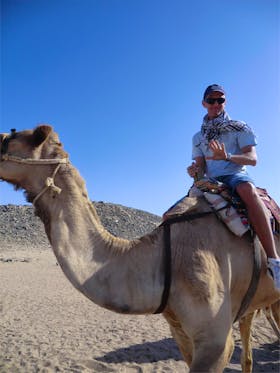 Kamelreiten in Ägypten