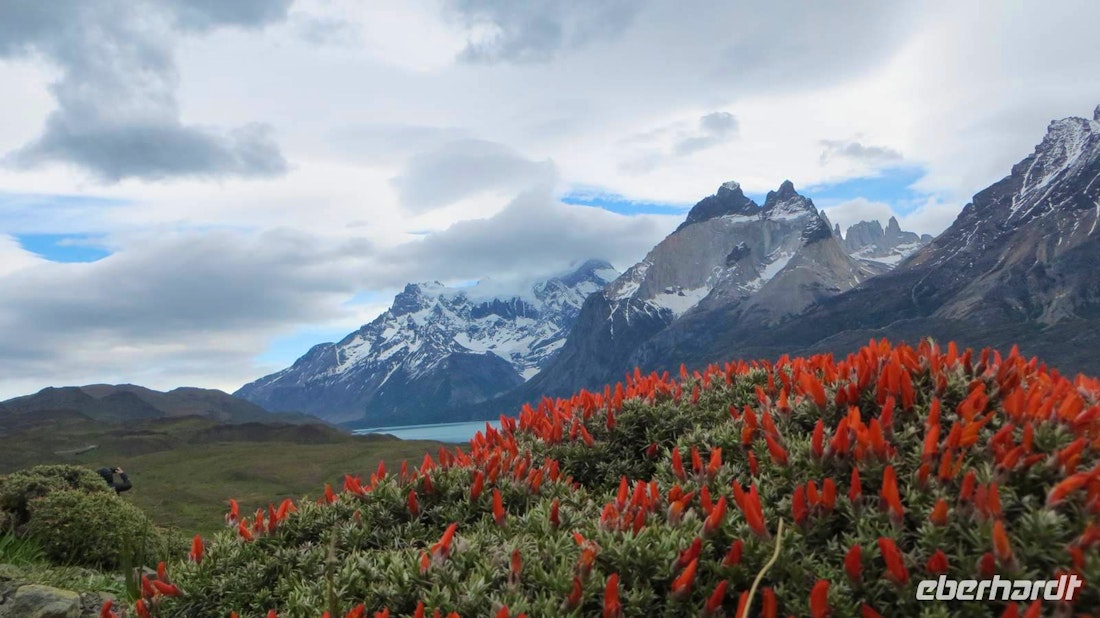 Rundreise Chile und die Osterinsel – © Maria Drewans