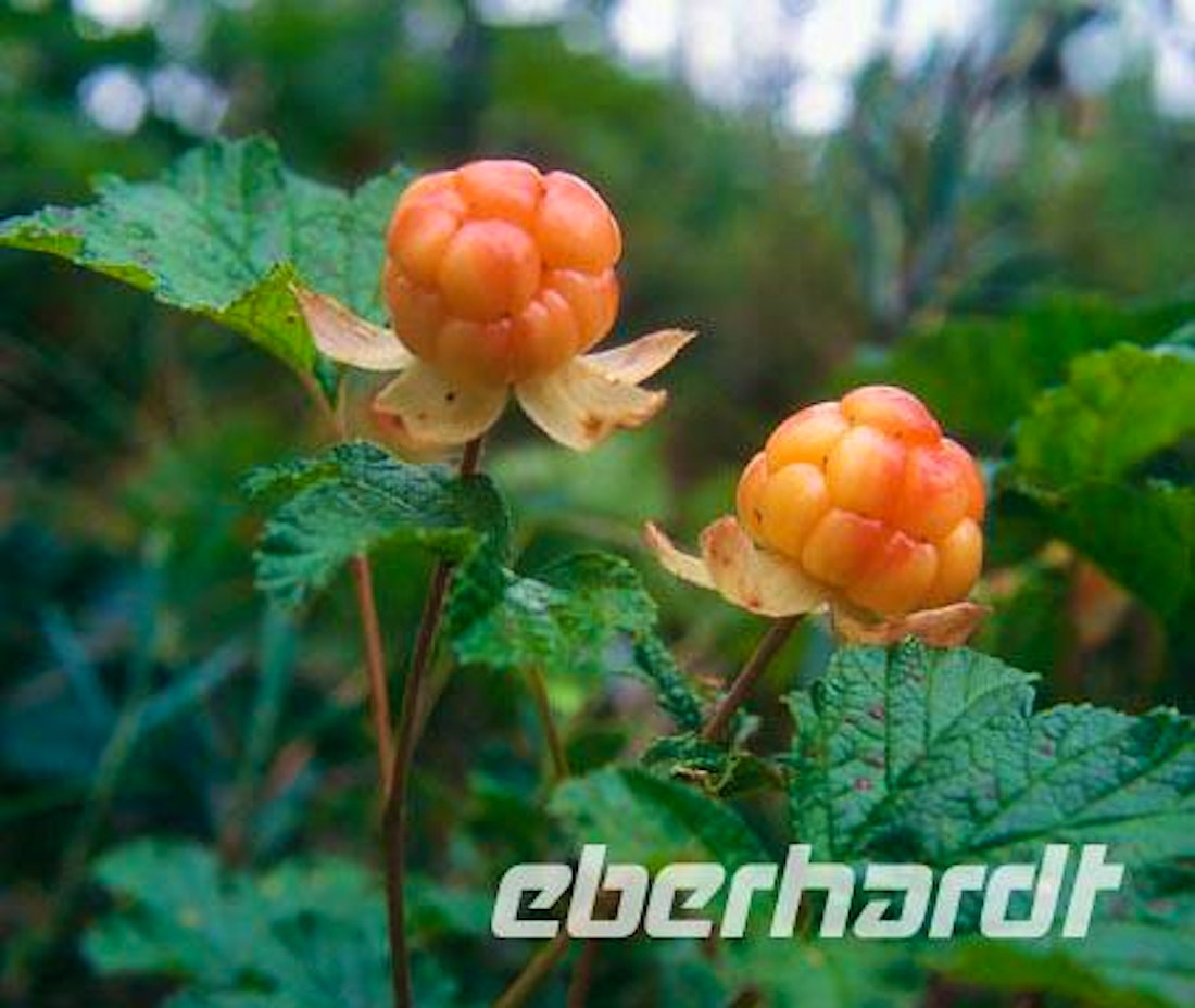 Rundreise Norwegen – © Peter Rudolph