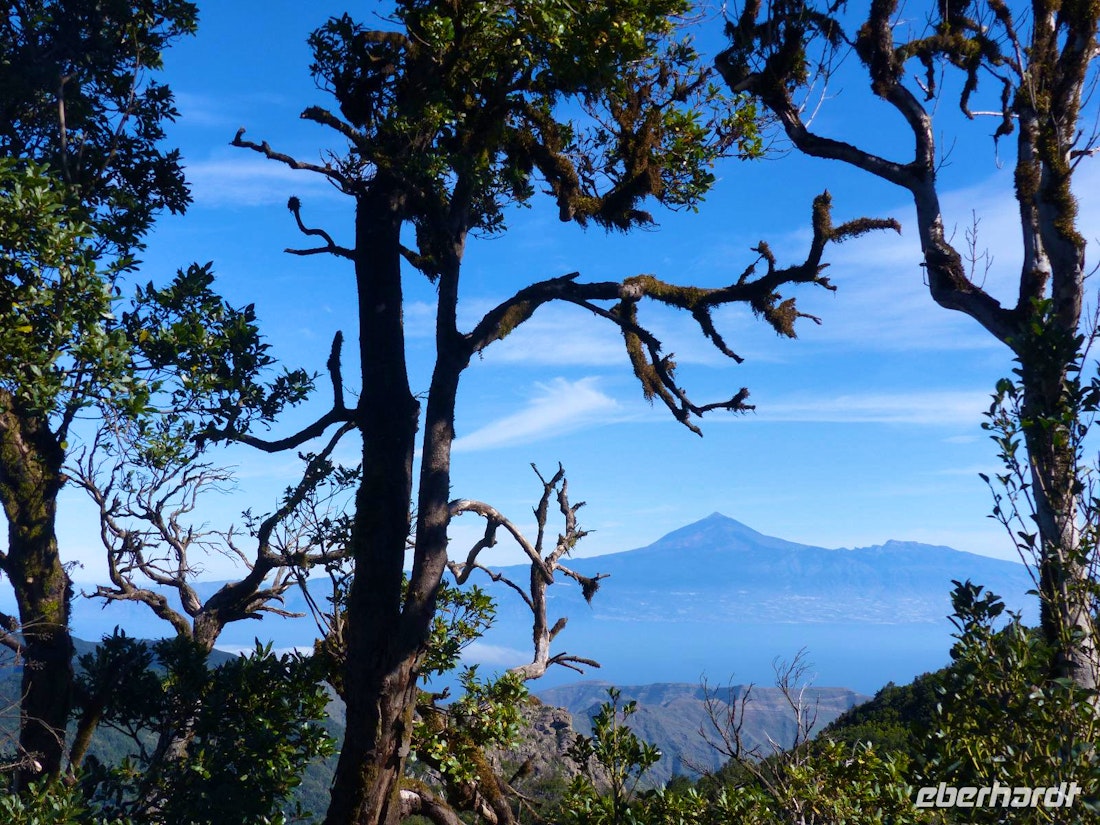 Sommerwandern auf La Gomera im Winter – © Margret van Blokland