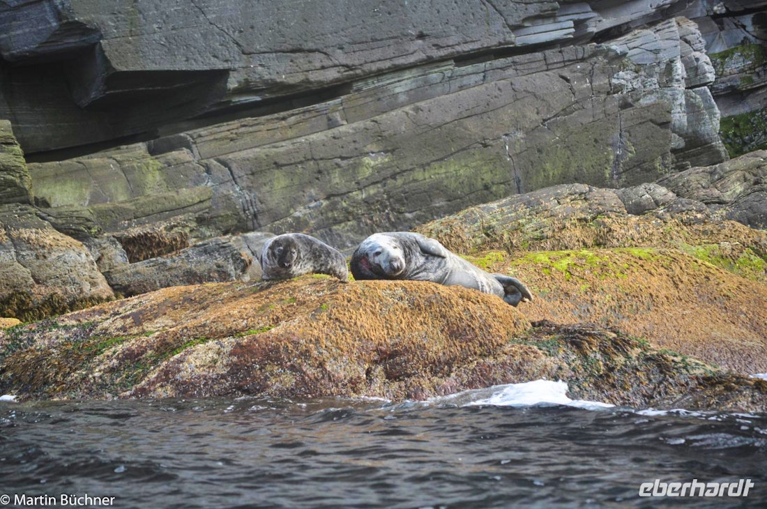 Fakultativer Ausflug: Mit dem RIB um das Nordkapp – © Martin Büchner