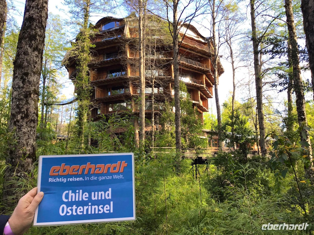 Das Baumhaus Hotel – © Sabine Letzybyll