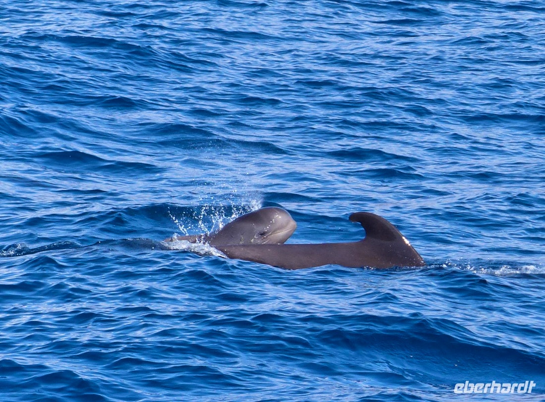 Adventswandern auf La Gomera – © Margret van Blokland
