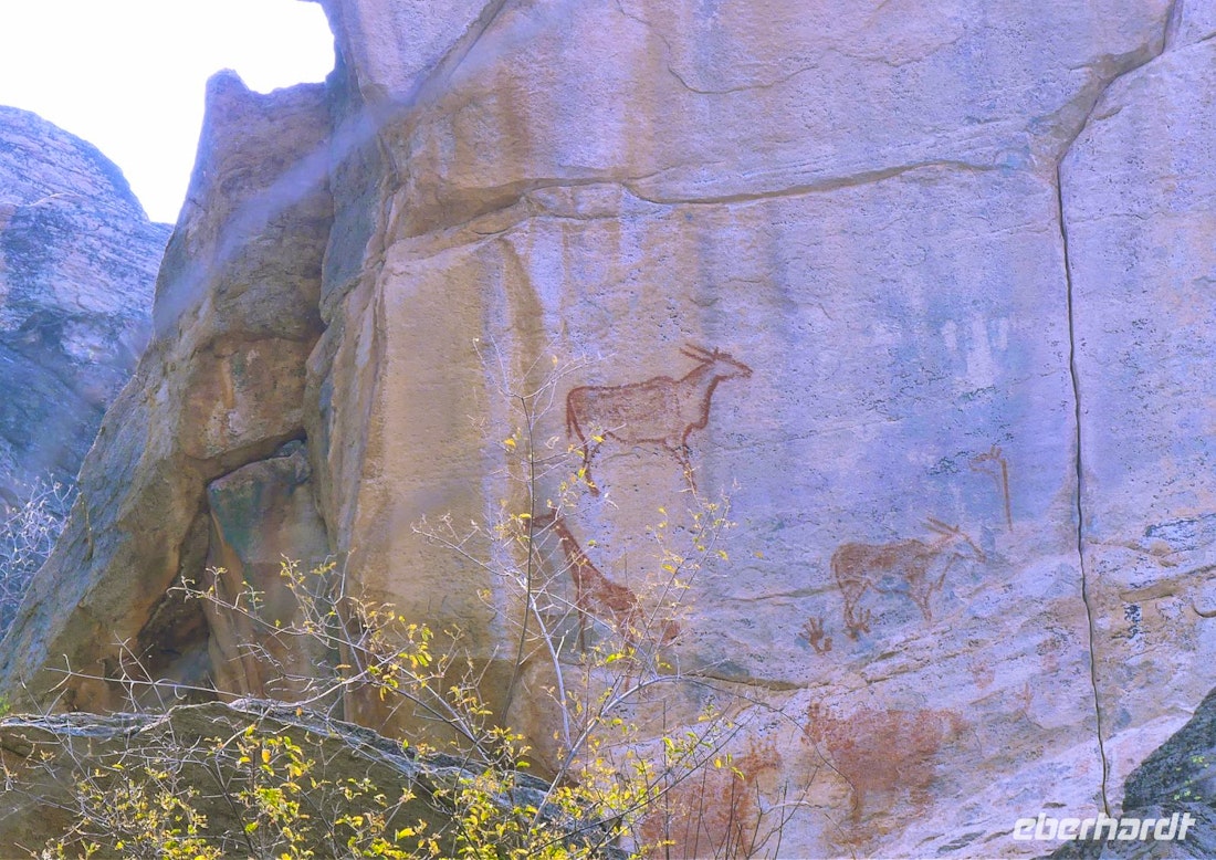 Tsodilo – „Louvre der Wüste“ in Botswana – © Frank Nimschowski
