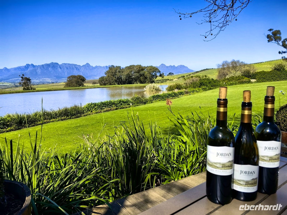 Besuch in den Weinbergen – © Simone Willner
